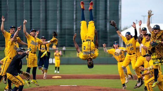 Everyone Is Going Bananas for the Savannah Bananas