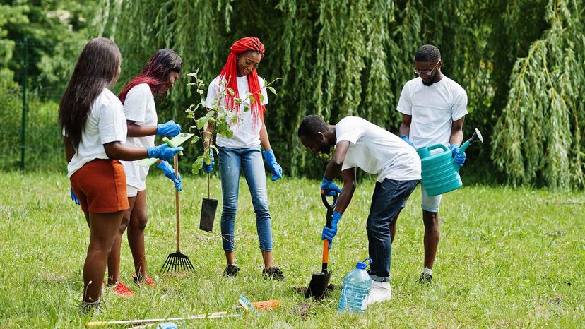 group planting tree