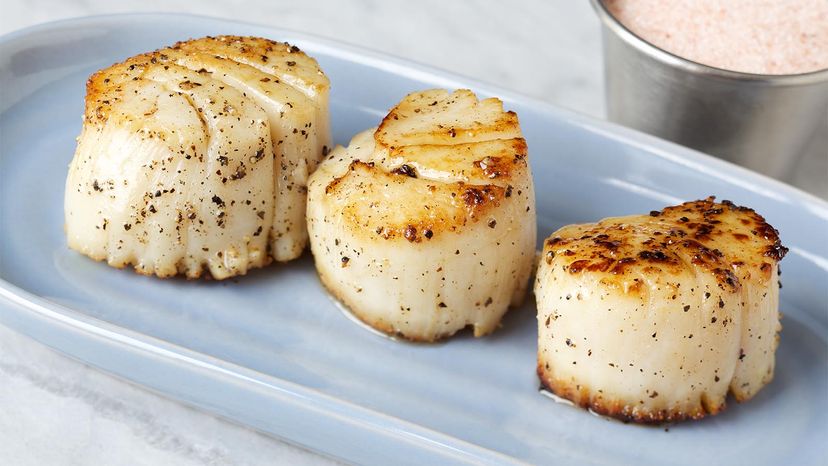 scallops