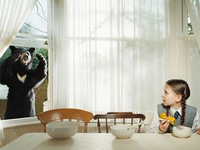 Girl scared by bear at window