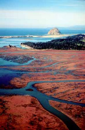 从圣路易斯奥比斯波北科西小路上看到的一个莫罗。＂width=