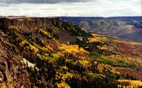 Grand Mesa Scenic Byway