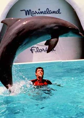 Marineland Florida