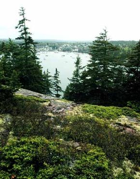 ©Byways.orgBreathtaking mountain views are visible from Acadia Byway.