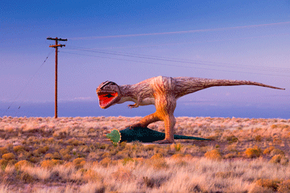 至少这种恐龙 - 驻扎在亚利桑那州的66号公路上 - 并不是欺骗任何人。查看更多化石图片。“width=