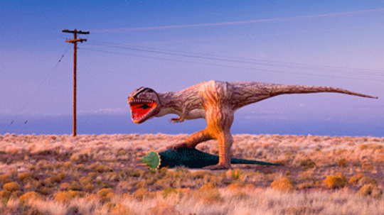 为什么人们相信科学证实的事情不真实的?”width=