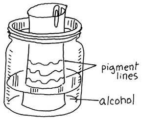 Not Just Black and White is a science project about shading.