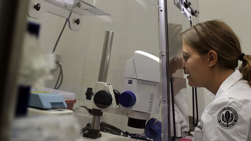 scientist looking at stem cells