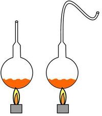 Pasteur experiment illustration