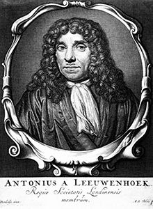 Antoni van Leeuwenhoek