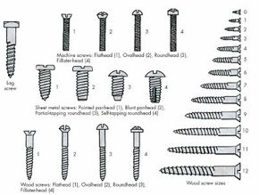 Wood screws, sheet metal screws, flat head screws, and others.