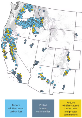 Areas with high potential for protecting both human communities and carbon storage