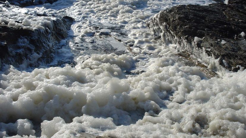 What Exactly Is Sea Foam?