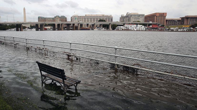 Not even Washington, D.C. is off limits to rising sea levels. Here a park bench sits in the waters of the Washington Channel during high tide in September 2016. Mark Wilson/Getty Images