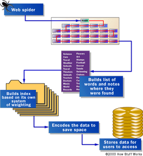 "Spiders" take a Web page's content and create key search words that enable online users to find pages they're looking for.”border=