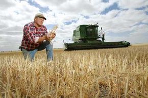 An Australian wheat farmer examines his crop, which has been weakened by drought. See more vegetable pictures.
