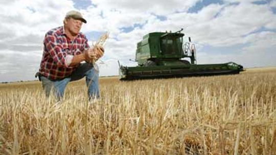 How Seed Banks Work