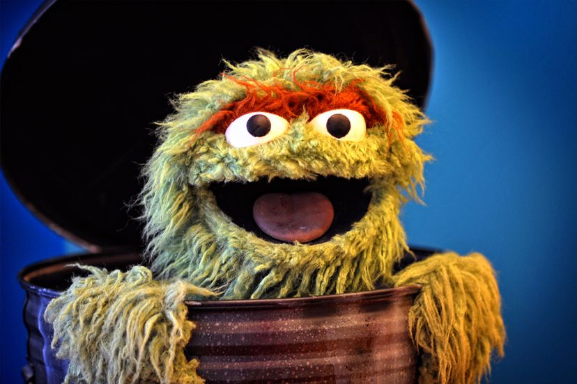 The Sesame Street Characters Quiz
