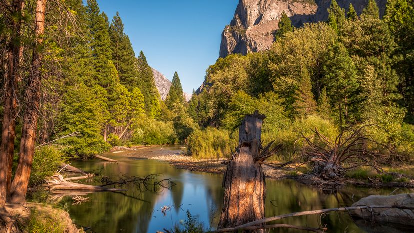 sequoia and kings canyon