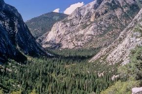 红杉国家公园的山谷景色。查看更多国家公园图片。＂width=