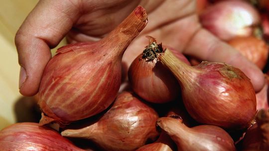 Shallots Are Onions' Cute Little Cousins