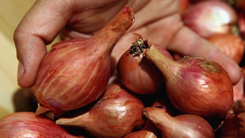 shallots