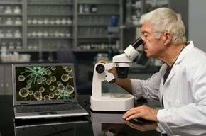 A scientist using a microscope and computer&nbsp;