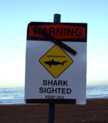 Shark sign