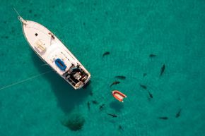 Boats and sharks