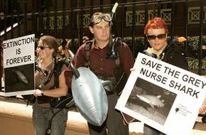 Recreational divers stand outside the New South Whales Parliament in protest against the government's refusal to exclude fishing from key habitat areas for the critically endangered grey nurse shark in Sydney, Australia.