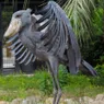 The Shoebill Stork: One Freaky and Formidable Bird