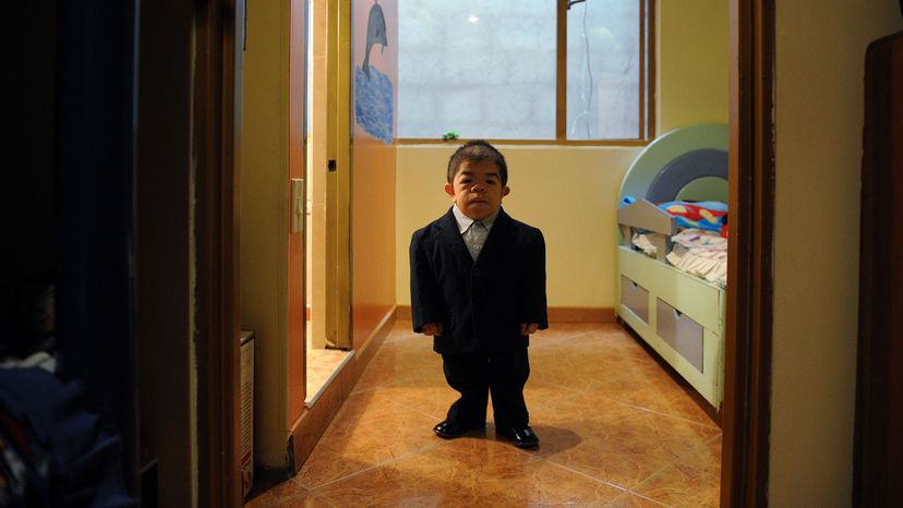 How Short Is the World's Smallest Person?