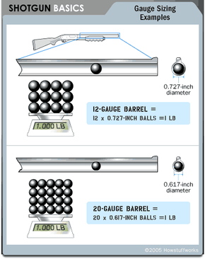 Measuring Up: Gauge vs. Caliber - How Shotguns Work