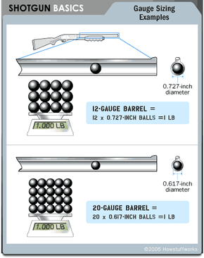 10 Gauge vs 12 Gauge - Shotgun Caliber Comparison by