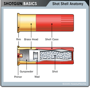 shotgun shells sizes