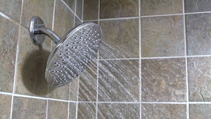 shower head, germs	