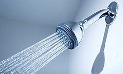 How clean is your shower head?