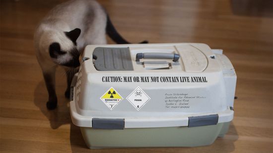 4个量子物理学的错误概念，被终结＂class=