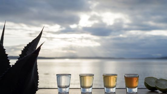 5 Types of Tequila: Which to Sip and Which to Shoot