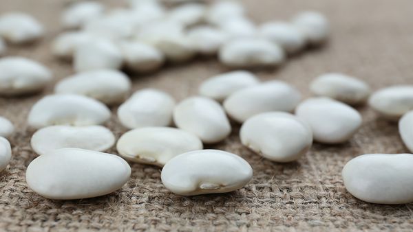 Butter Beans vs. Lima Beans: Different Foods or Regional Naming?