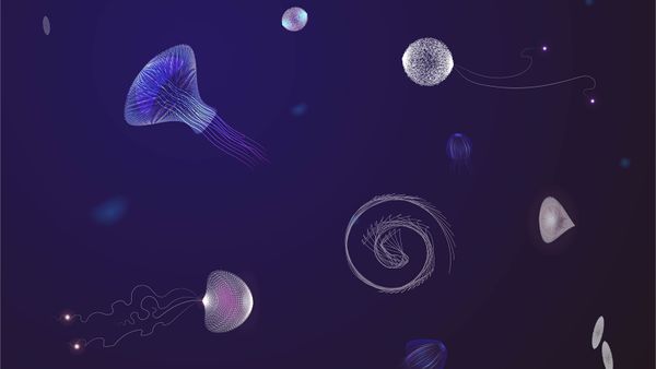 jellyfish and other organisms floating in dark water