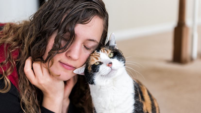 Young woman bonding with cat