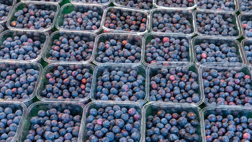 Fresh blue huckleberries