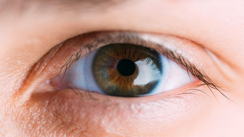eye