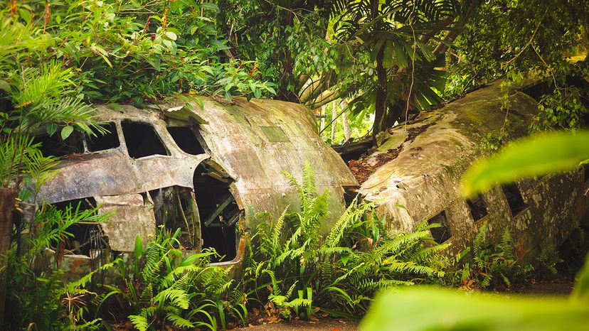 Crashed plane in the rainforest