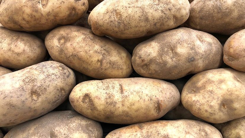 Russet Potatoes