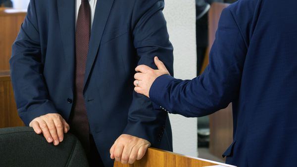 Pluralist Democracy: How Organized Groups Influence Policymakers