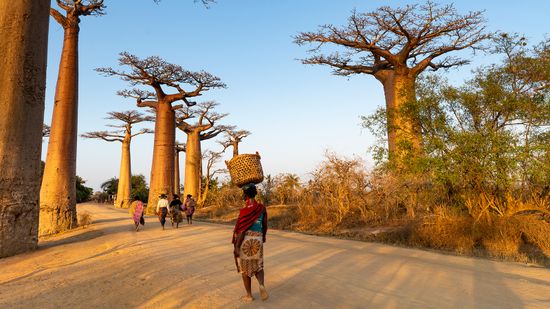 15 French-Speaking Countries in Africa, Europe, and the Americas