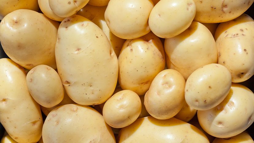 Yukon Gold potatoes