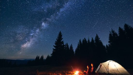 10 Types of Stars Blazing and Collapsing in Our Universe